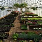 Chamberlain Acres Garden Center & Florist