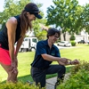 got lawn? Tree and Turf Care gallery