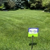 My Guy Pest & Lawn Solutions gallery