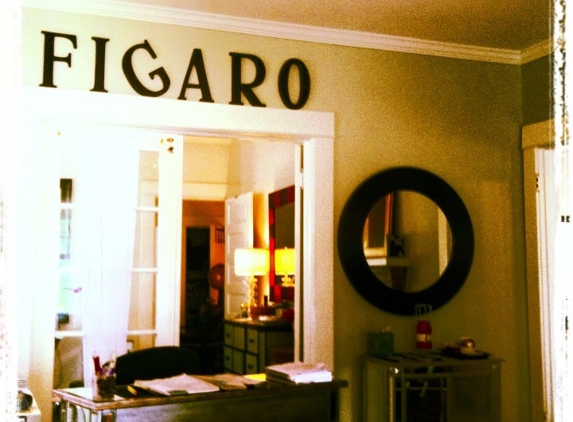 Figaro Salon - Greensboro, NC