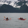 Kenai Fjords National Park gallery