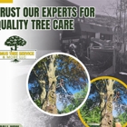 Lemus Tree Service & More LLC