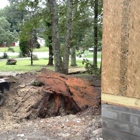 Coleman Stump Removal