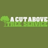 A Cut Above Tree Service gallery