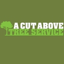 A Cut Above Tree Service - Snow Removal Service