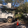 Torres Tree Services gallery