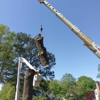 Tree Tech Tree Service gallery