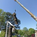 Tree Tech Tree Service - Arborists