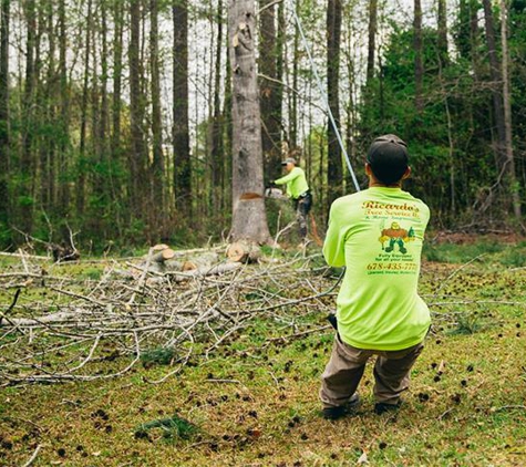 Ricardo's Tree Service, LLC - Peachtree City, GA
