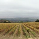 Hahn Estates - Wineries