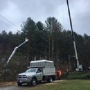 Chris Lane Enterprises - Tree Service