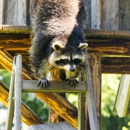 Barnes Termite & Pest Control - Pest Control Equipment & Supplies