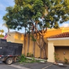 SG Gardening Landscape and Tree Services gallery