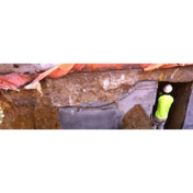 Gallery Image Number 7