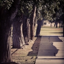 Cochise Elementary School - Elementary Schools