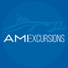 AMI Excursions