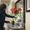 Oral Implants & Reconstructive Dentistry gallery