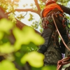 Branching Out Tree Service gallery