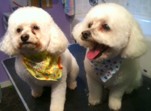 Hillcrest Dog Salon - Hastings, MI