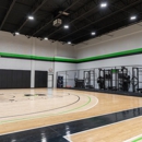 Next Level Basketball