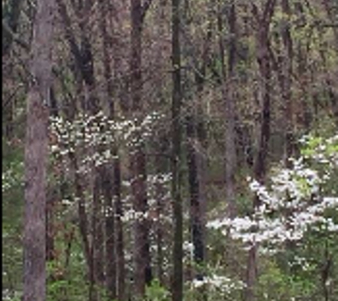 Lazy Day Campground - Montgomery City, MO