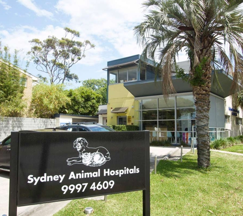 Sydney Animal Hospitals - Newport, NSW