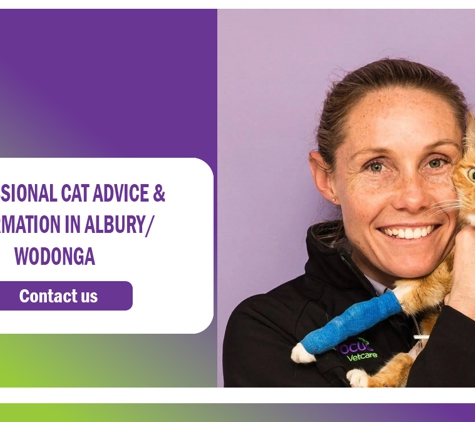 PetFocus Vetcare - Lavington, NSW. Professional Cat Advice &  Information In Albury/ Wodonga