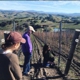 Appellation Wine Tours Santa Barbara