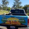 West Coast Tree Service gallery