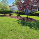 Green Guys - Landscape Contractors