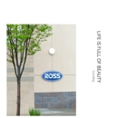 Ross Dress for Less - Discount Stores