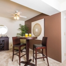 Bay Pointe Apartments - Furnished Apartments