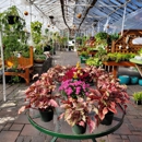 Puritas Nursery & Garden Center - Garden Centers