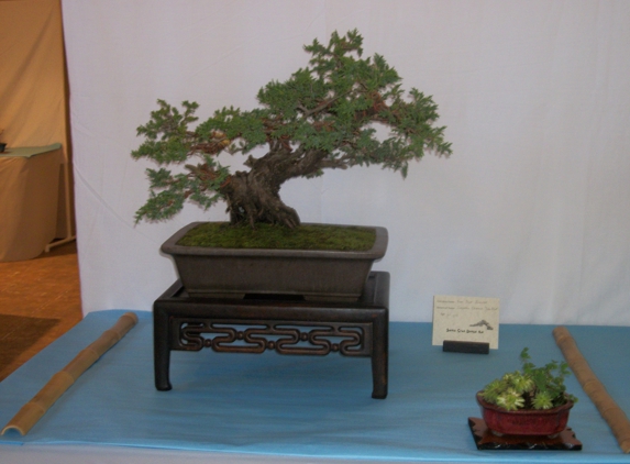 Ron Anderson Bonsai - santa cruz, CA