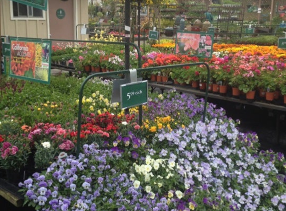 Armstrong Garden Centers - Long Beach, CA