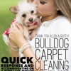 Bulldog Carpet Cleaning gallery
