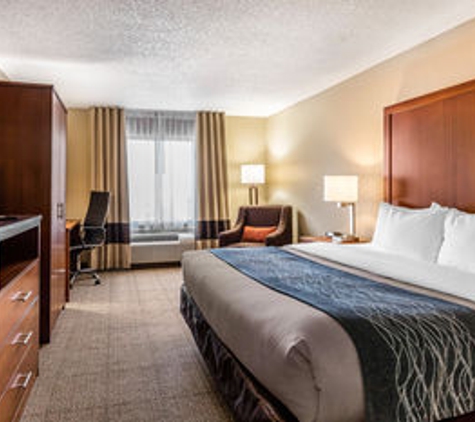 Comfort Inn & Suites Airport-American Way - Memphis, TN