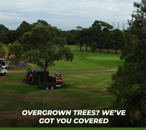 Plumb Trees - Croydon Park, NSW. Overgrown Trees? We’ve Got You Covered