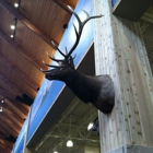 Cabela's