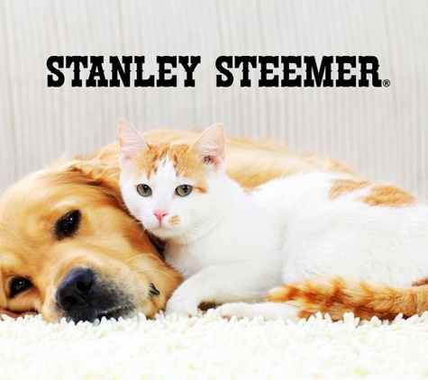 Stanley Steemer - Inverness, FL