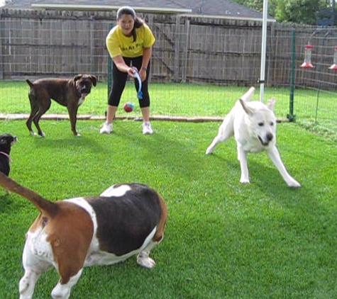 Pups At Play - Denham Springs, LA