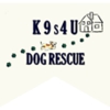 K9s4U Dog Rescue gallery