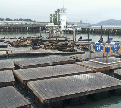 Marine Mammal Center