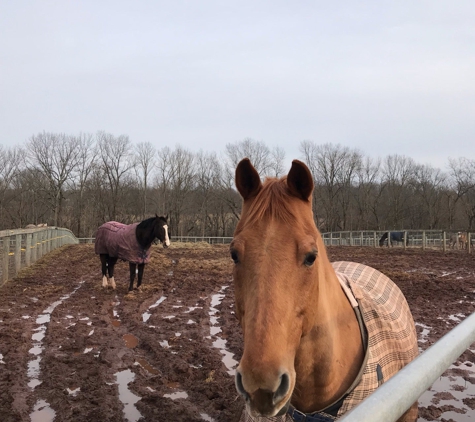 Rosemar Farm - Milford, NJ