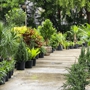 Fort Lauderdale Landscaping Company