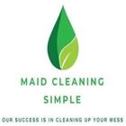 Maid Cleaning Simple