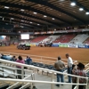 Mesquite Rodeo gallery