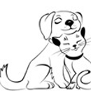 Lancaster Pet Clinic - Veterinarian Emergency Services