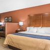 Comfort Inn gallery