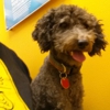 Banfield Pet Hospital gallery